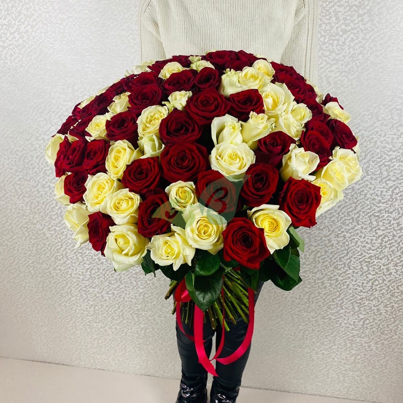 101 красная и белая роза Россия в букете