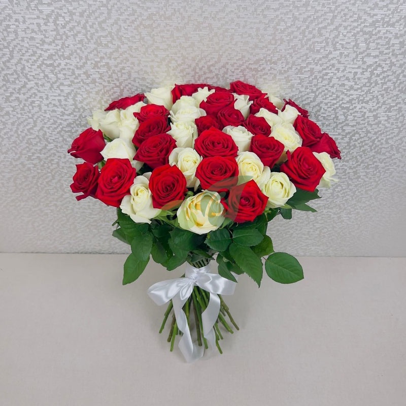 51 красная и белая роза в роскошном букете