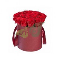 Розы красные в коробке Эквадор